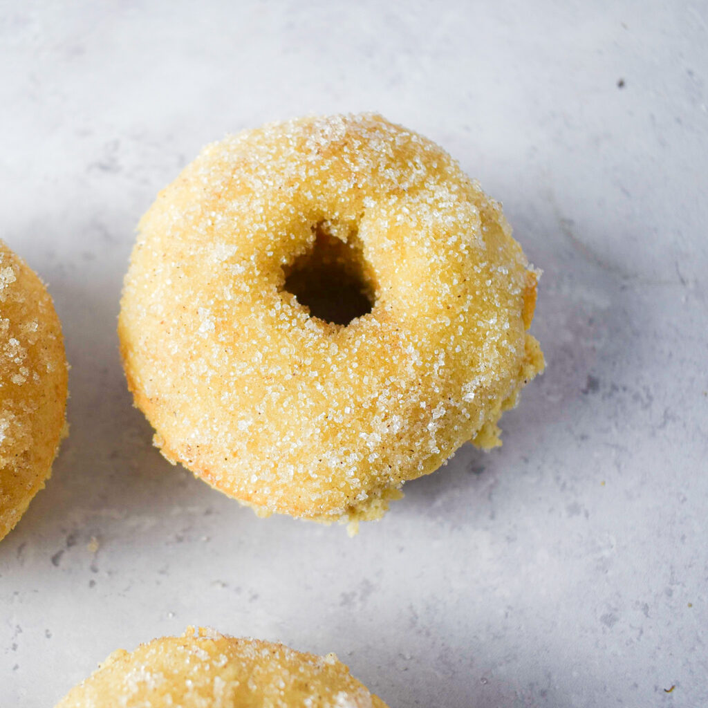Baked Cinnamon Doughnuts