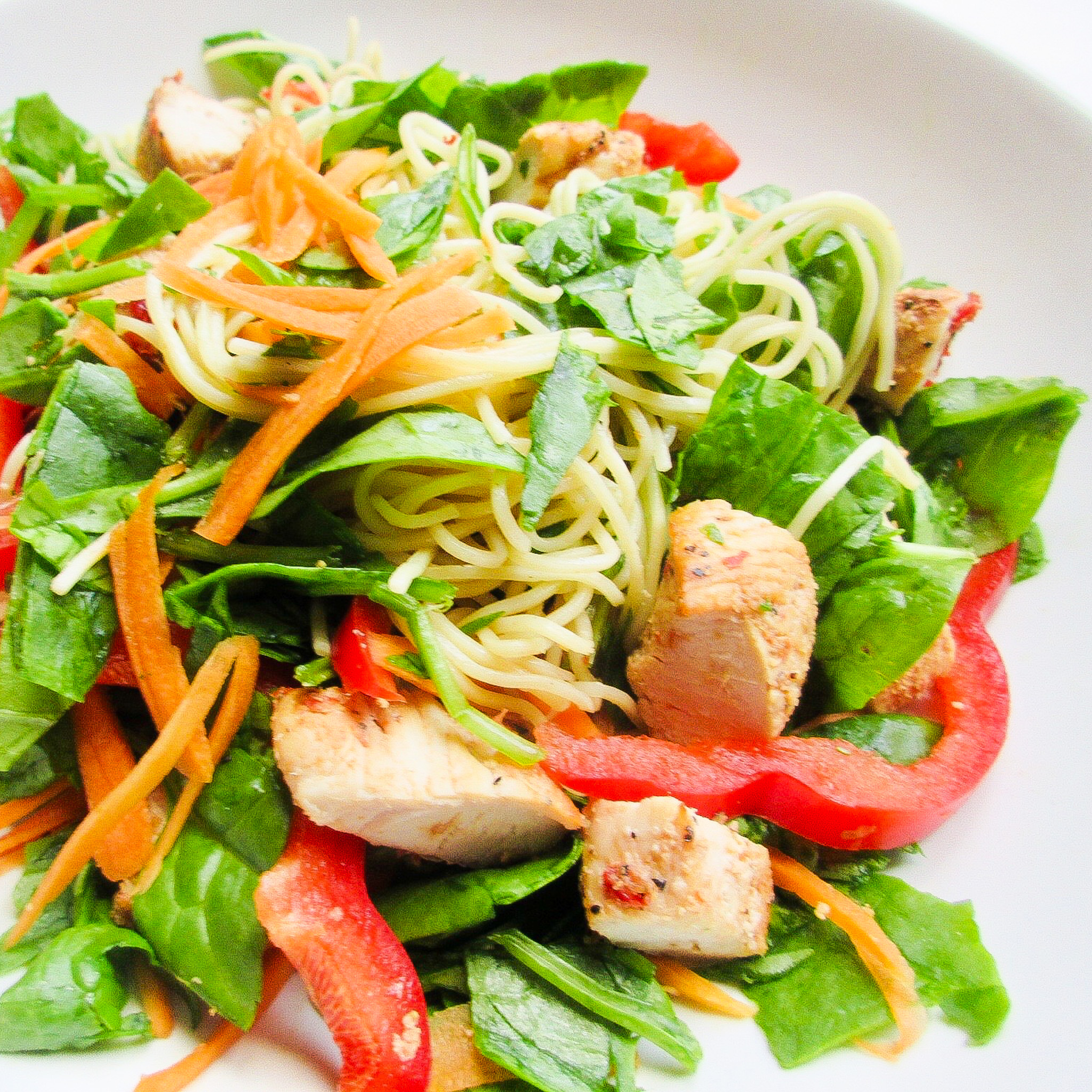Chicken noodle salad on a white plate.