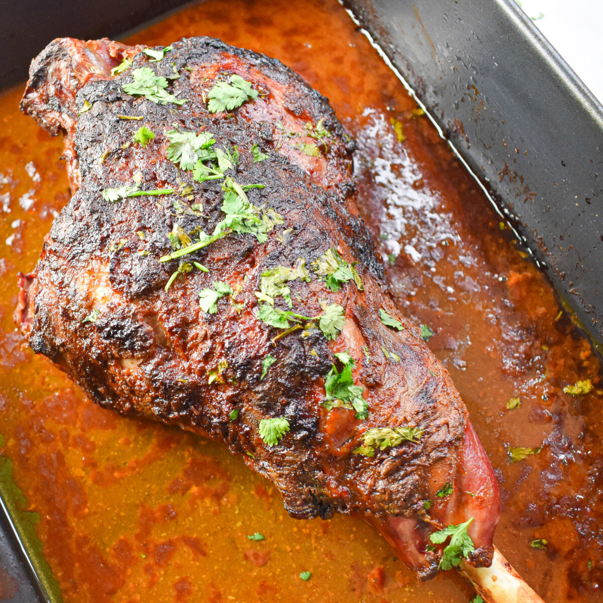 harissa lamb