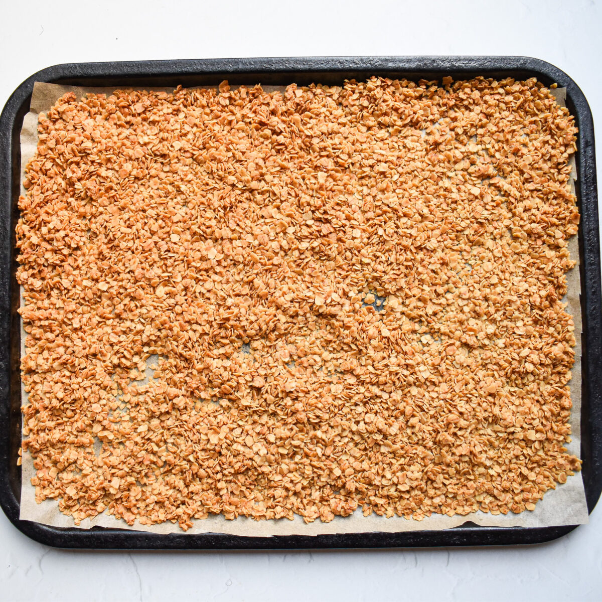 Toasted oats on baking tray.